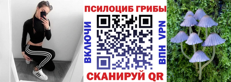 OMG как войти  Кузнецк  Псилоцибиновые грибы GOLDEN TEACHER 